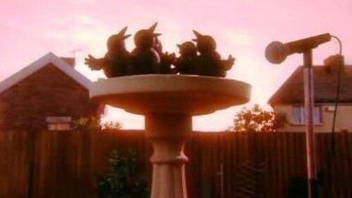 Being a Bird Being a Bird