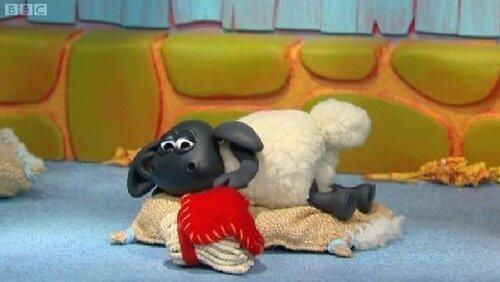 Timmy's Pet Problem