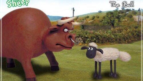 Bull Bull