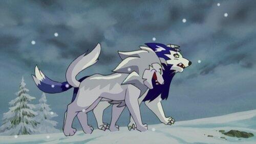 Tiger's Battle With Destiny Tiger's Battle With Destiny