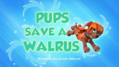 Pups Save A Walrus Pups Save A Walrus