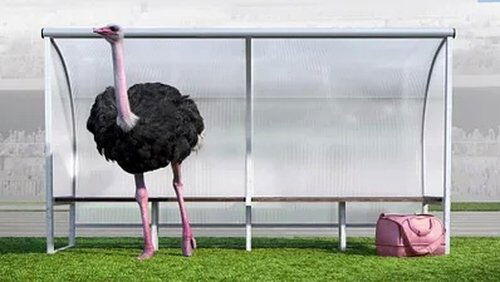 Sur le banc de touche Sur le banc de touche