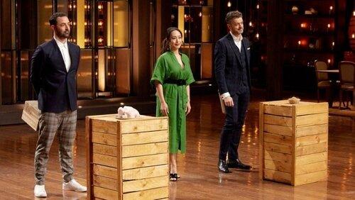Elimination Challenge: The Chicken or the Egg? Elimination Challenge: The Chicken or the Egg?