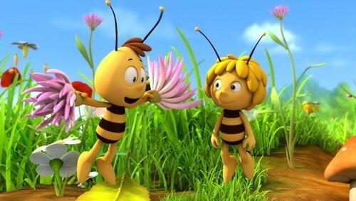 A Flower to Share A Flower to Share