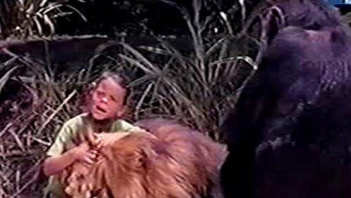 Clarence, the Lion-Hearted Clarence, the Lion-Hearted