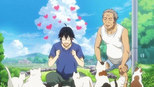 Island Dads Island Dads