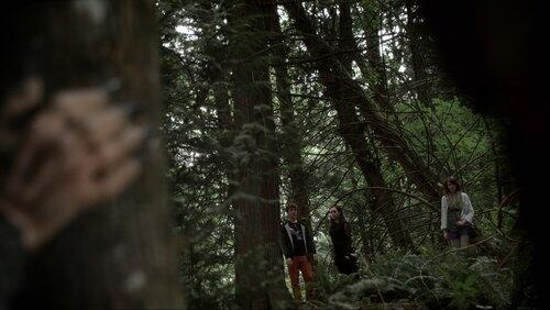 Lovecraft's Woods Lovecraft's Woods