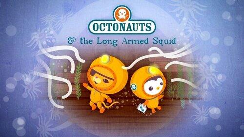 The Long Armed Squid The Long Armed Squid