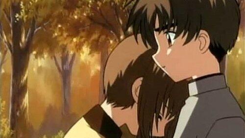 Sakura's Most Favorite Person Sakura's Most Favorite Person