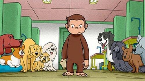 Curious George Dog Counter