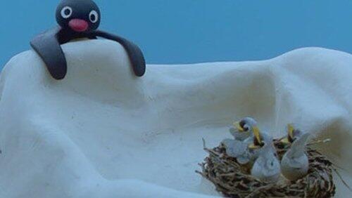 Pingu and the Birds' Mother Pingu and the Birds' Mother