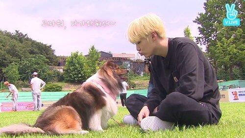 EP.23 [Pet Friends]