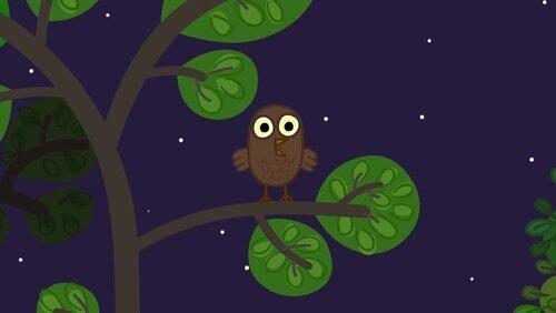 The Owl The Owl