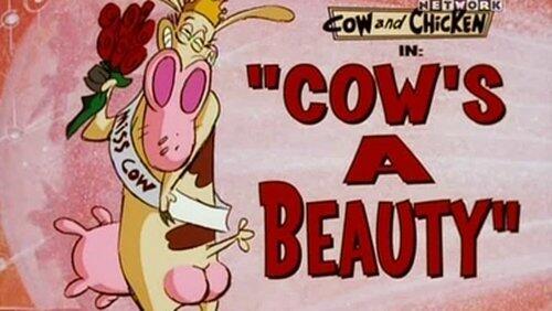 Cow's a Beauty Cow's a Beauty