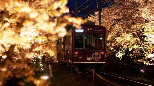 Spring in Kyoto - A Trip on a Little Local Train Spring in Kyoto - A Trip on a Little Local Train