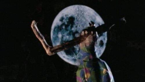 The Tale of the Full Moon The Tale of the Full Moon