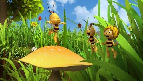 The Runaway Bee The Runaway Bee