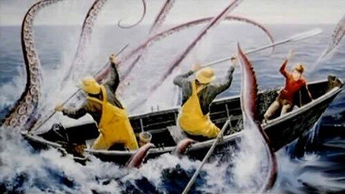 Giant Squid Found? Giant Squid Found?