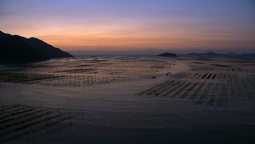 The Taste of Time (时间的味道) The Taste of Time (时间的味道)