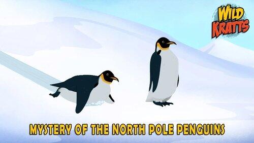 Mystery of the North Pole Penguins? Mystery of the North Pole Penguins?