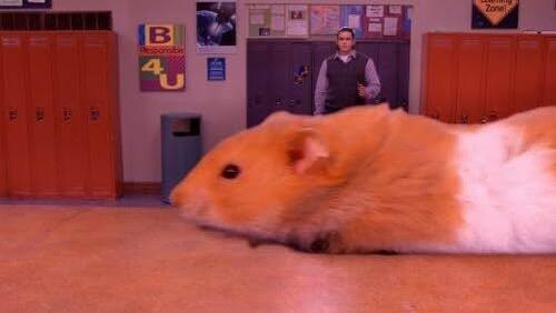 Mr. Tickleschmootz Mr. Tickleschmootz