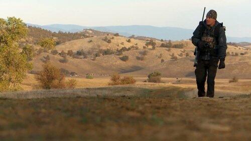 The New American Food Chain: Wild Pigs The New American Food Chain: Wild Pigs