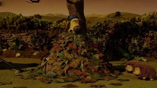 A Prickly Problem A Prickly Problem