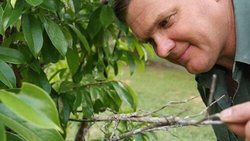 Wet Tropics Wet Tropics