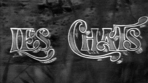Les Chats Les Chats
