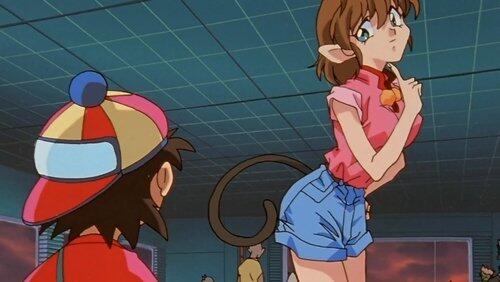 The Preliminaries The Preliminaries