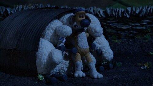 Sheepless Nights Sheepless Nights