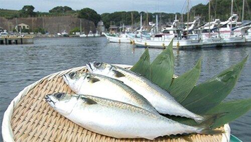 Saba (Mackerel) Saba (Mackerel)