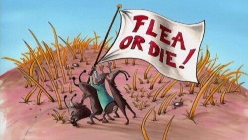 CatDog Food CatDog Food