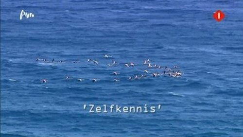 Zelfkennis Zelfkennis