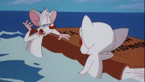 You Said a Mouseful You Said a Mouseful
