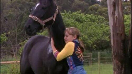 Found Horse (2) Found Horse (2)