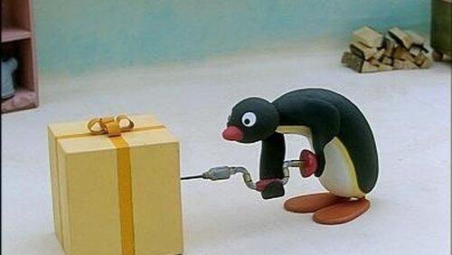 Pingu is Curious Pingu is Curious