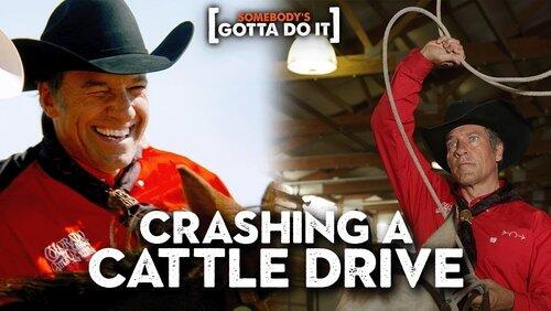 Cattle Drive Cattle Drive