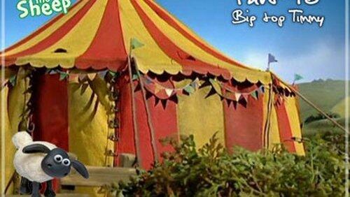 Big Top Timmy Big Top Timmy