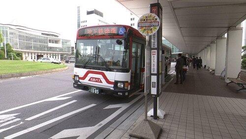 Buses Buses
