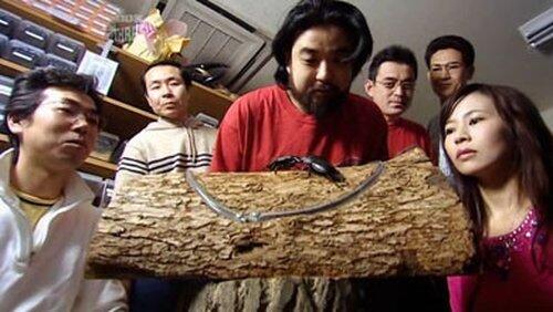 Bushido (Samurai Spirit) Bushido (Samurai Spirit)