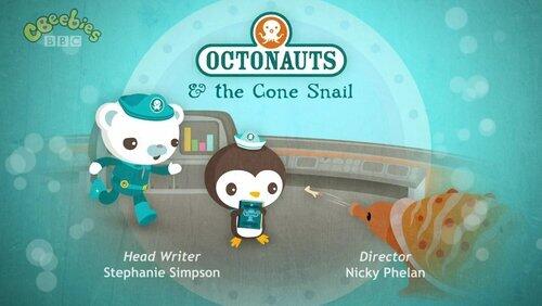 The Cone Snail The Cone Snail