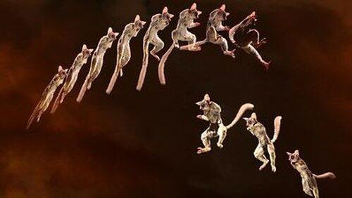 Marvelous Motions Marvelous Motions
