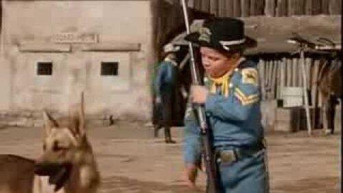 Rin Tin Tin in the Flaming Forest Rin Tin Tin in the Flaming Forest
