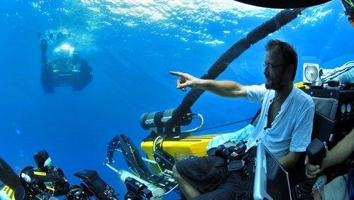 Giant Squid: Filming the Impossible - Natural World Special Giant Squid: Filming the Impossible - Natural World Special