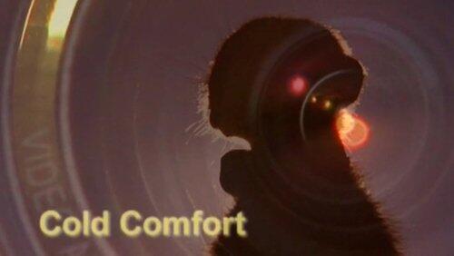 Cold Comfort Cold Comfort