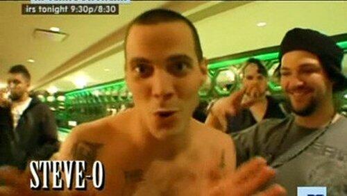 Bam's Gone Wild Bam's Gone Wild