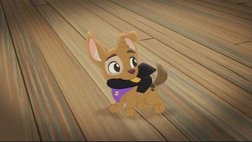 The Pirate Pup! The Pirate Pup!