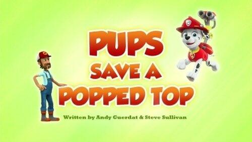 Pups Save a Duck Pond Pups Save a Duck Pond