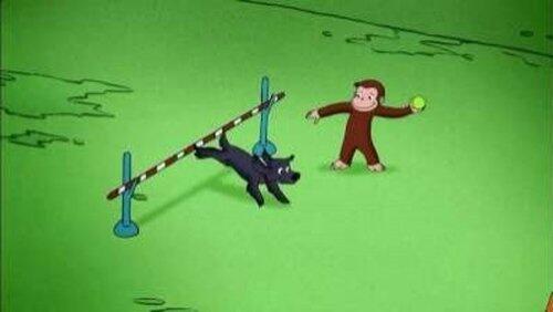 Charkie Goes to School Charkie Goes to School